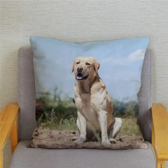 Smart Labrador Retriever Pillow Cover — Pillow Covers, zheyu