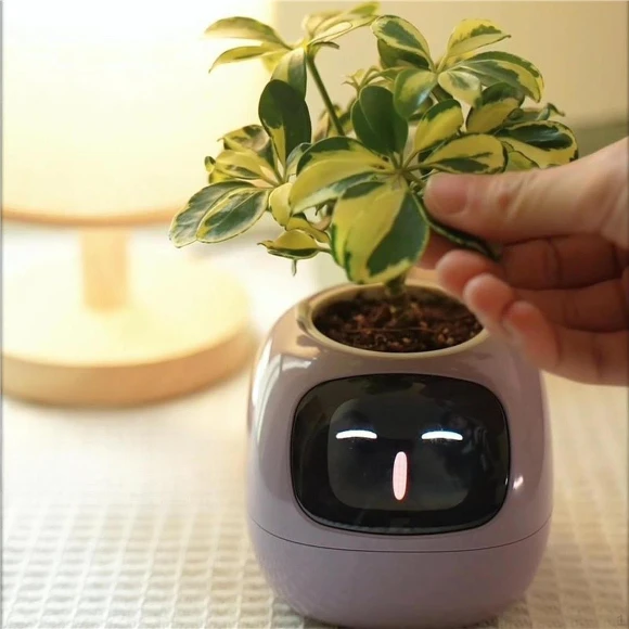 Smart Pet Pot — Nursery Pots, HappyToy