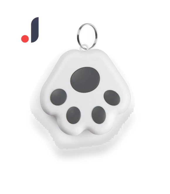 Bluetooth Anti-Loss Smart Keychain — Item Locators, G KE