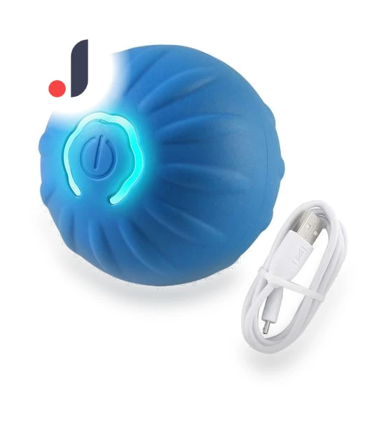 Interactive Dog Toy Rolling Ball — Balls, I love My Pet