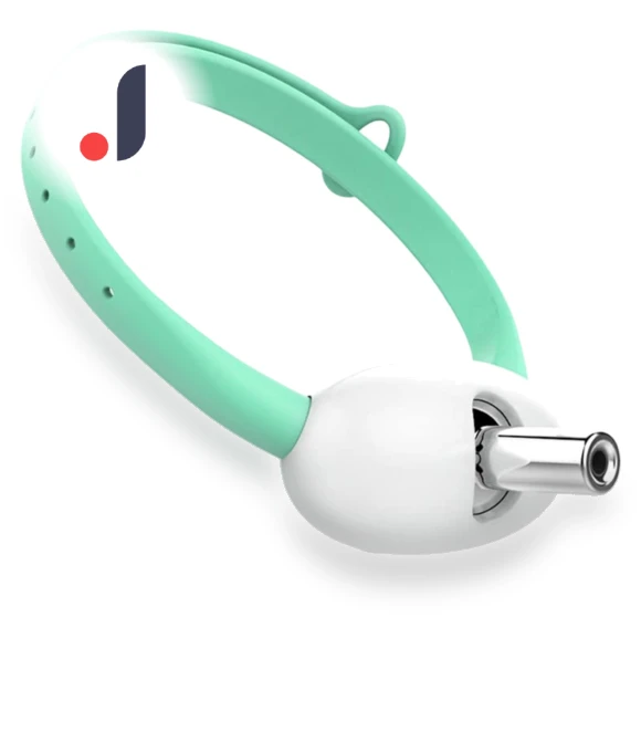 Smart Teasing Collar for Cats — Cat Playthings, Ximalaya