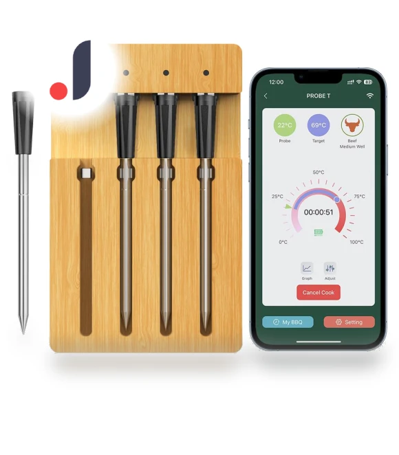 Wireless Meat Thermometer with Smart APP Control — Grill Thermometers, Neoglint