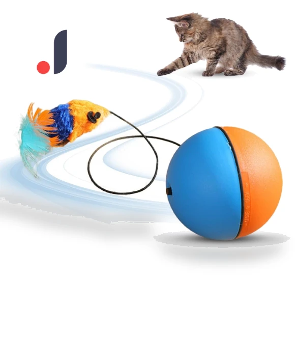 Electric Cat Toy Ball — Cat Playthings, Ren Sexy Toy