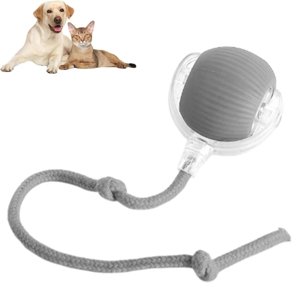 Chewie Ball Rolling Pet Toy — Balls, Diana Pet Stuff