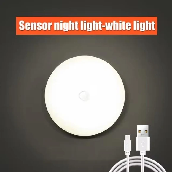 LED Human Body Sensor Night Light — Night Lights, HIMO Group