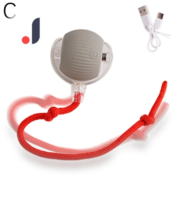 Interactive Cat Toy with Tail — Interactive Animal Companions, A Surname Home