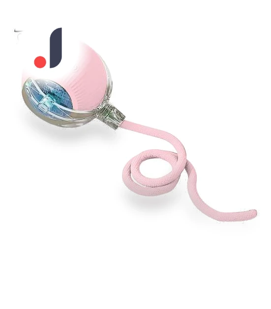 Interactive Rolling Ball Toy for Cats — Cat Playthings, Pet park