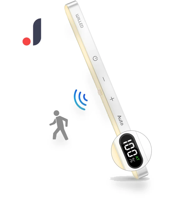 Motion Sensor Light — Garden Illumination, Build My Home