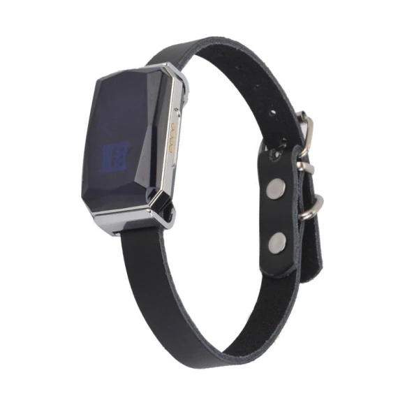 Smart GPS Pet Tracker Collar — Trackers, ZOVAYILA