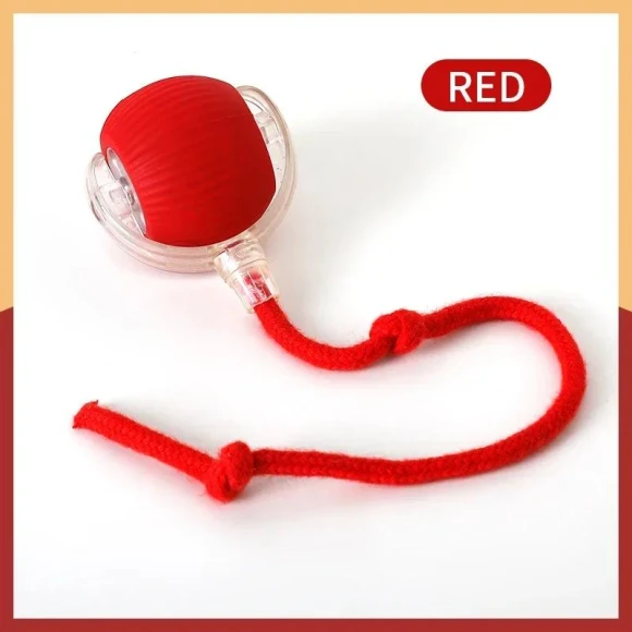 Interactive Cat Toy Ball — Cat Playthings, AYTA