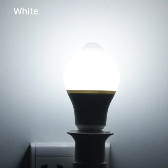 LED Motion Sensor Light Bulb — LED, 888 Auto Parts Town