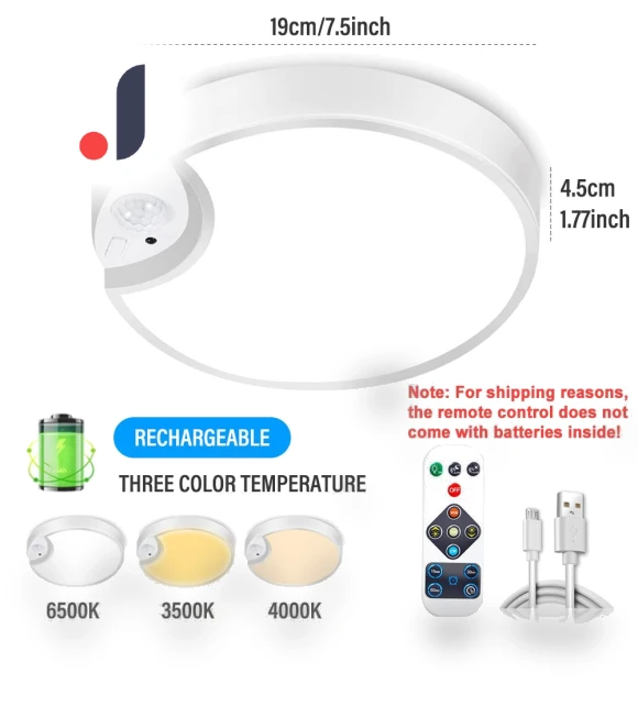 LED Touch Ceiling Light with Motion Sensor — Overhead Lighting, Intelligent Living Hall