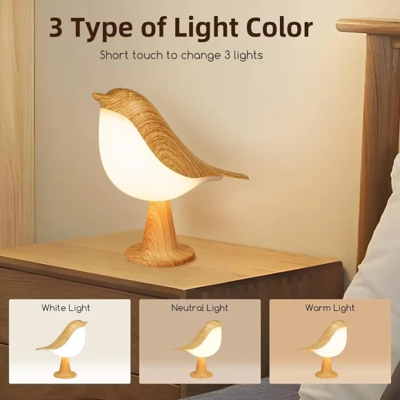 LED Touch Night Light — Night Lights, AE Selection