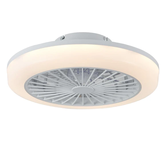 Modern LED Ceiling Fan with Light — Ceiling Fan Lighting Solutions, Seahorse Home