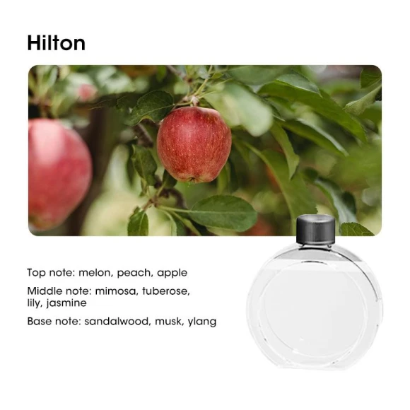 Home Desktop Aromatherapy Diffuser — Diffusers, Super Star Mall
