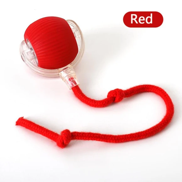 Interactive Electric Pet Toy — Cat Playthings, Pawstrip