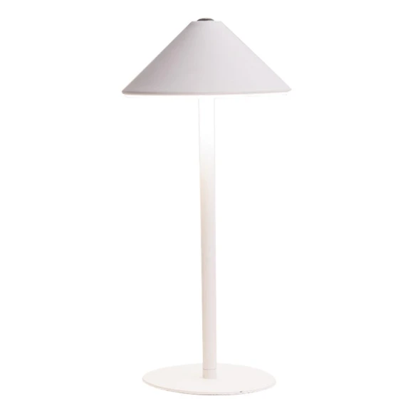 Wireless Desk Lamp with Adjustable Brightness — Study & Desk Lighting, Chic Home