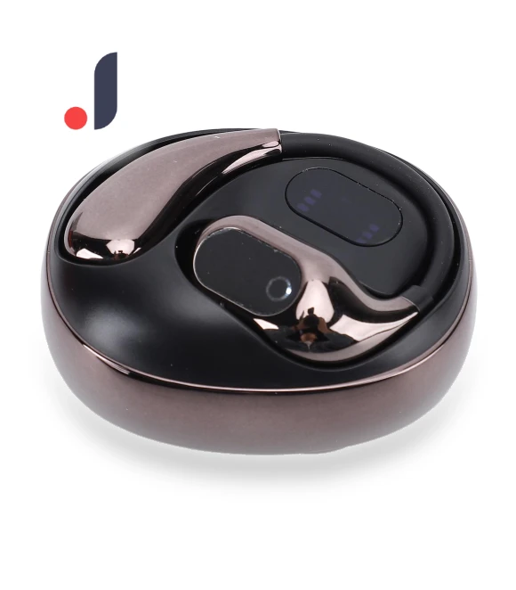 Bluetooth Translator Earbuds — Language Translators, DIYelecs