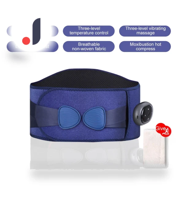 Smart Wireless Heating Belt — Thermal Therapy Solutions, BC Pet Supplies