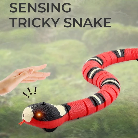 Interactive Snake Toy for Cats — Interactive Animal Companions, Gouhuo