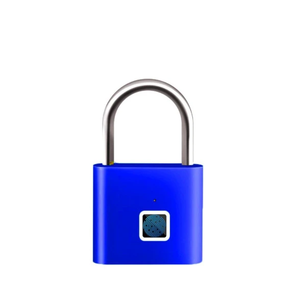 Smart Padlock Keyless Electronic Door Lock — Smart Home Security, Ruishi