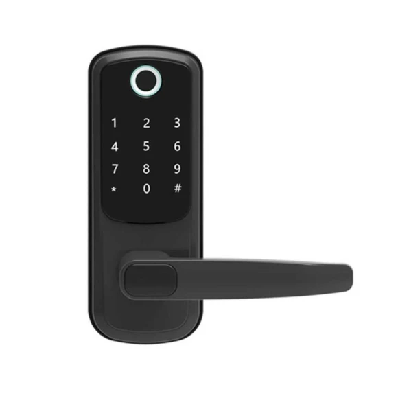 Electronic Smart Waterproof Door Lock — Biometric Security, Crown Global