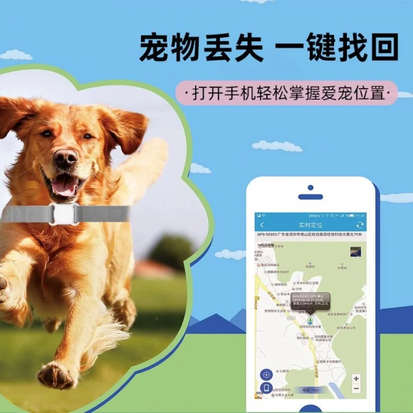 Smart Pet Locator — Location Tracking Devices, DIYelecs