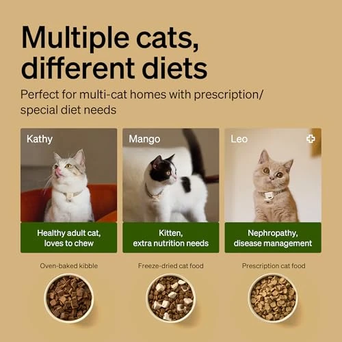 Automatic Cat Feeder with Collar Tag Activation — Smart Pet Feeders, PETLIBRO