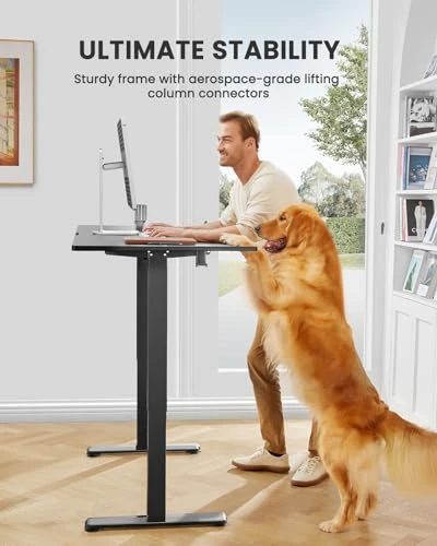 Height Adjustable Electric Standing Desk — Workspace Solutions, ErGear