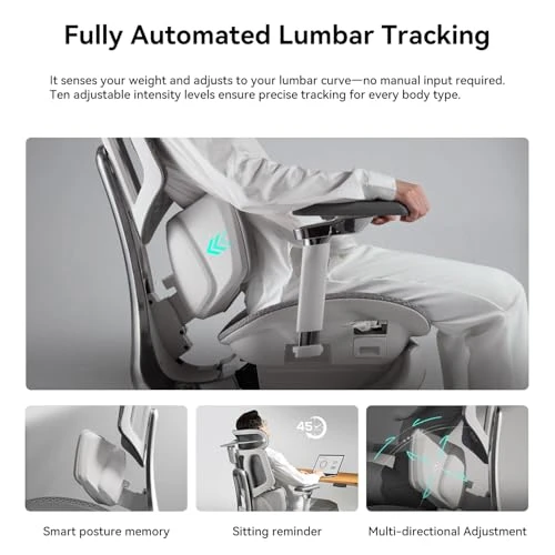Smart Ergonomic Chair with Automated Lumbar Tracking, 4D Headrest, Ventilated Seat — Ergonomic Chair, Hbada