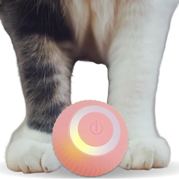 Interactive Cat Toy Ball — Cat Playthings, Holland Lec