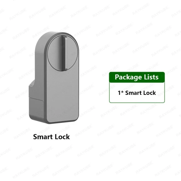 Smart Lock — Access Control Keypads, RAYKUBE
