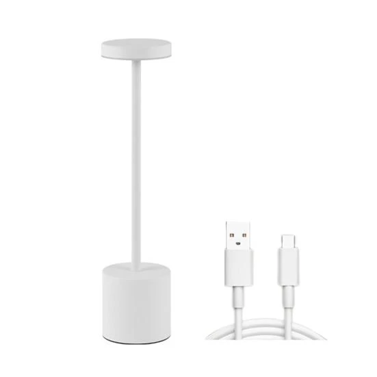 Wireless Desk Lamp with 3 Color Temperatures — Study & Desk Lighting, Pleasure Holiday