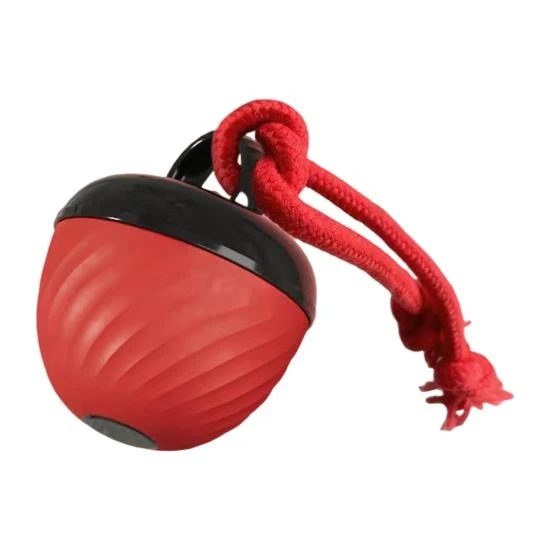 Interactive Dog Ball Toy — Toys, TaiKan