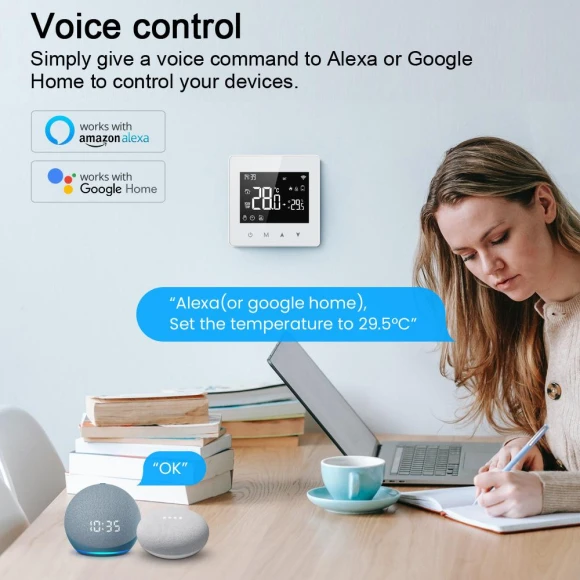 Smart Temperature Controller — Smart Climate Control, Painter