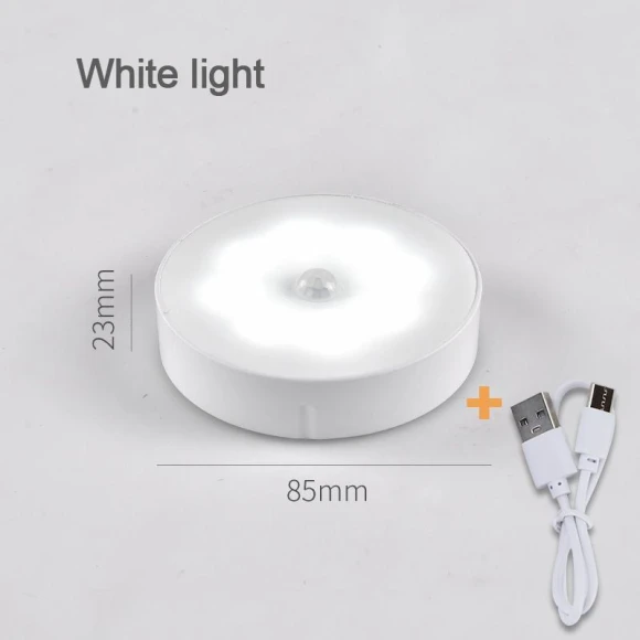 Motion and Presence Sensor LED Night Light — Night Lights, Actually lighting