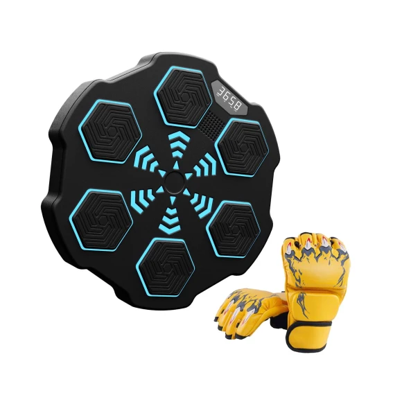 Smart Boxing Trainer — Boxing Training Gear, Binchi Keji Travel