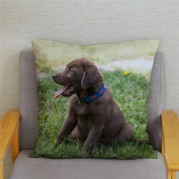 Smart Labrador Retriever Pillow Cover — Pillow Covers, zheyu
