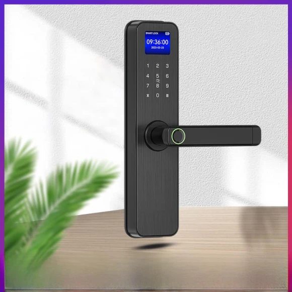 Smart Lock for Wooden Door — Biometric Security, VividTrove