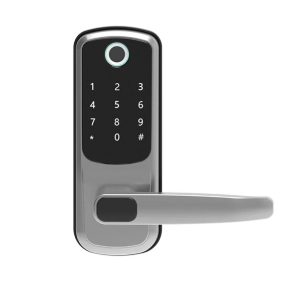 Electronic Smart Waterproof Door Lock — Biometric Security, Crown Global