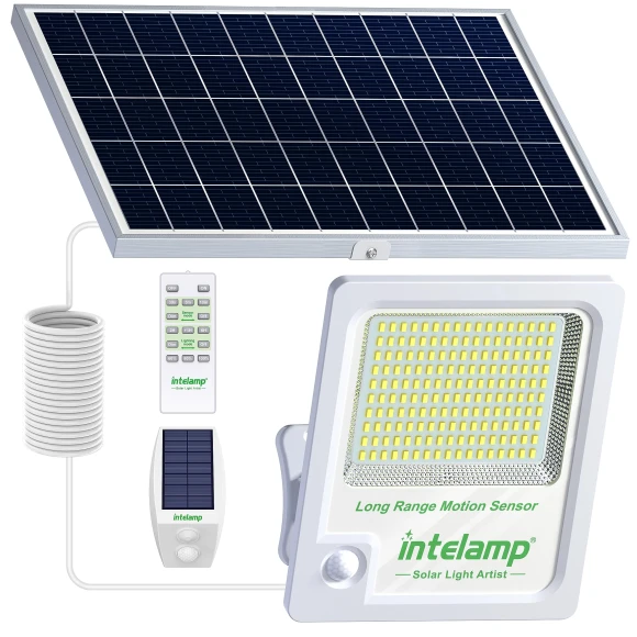 Solar Light with Motion Sensor for Outdoor LED — Outdoor Security & Flood Lighting, Zen-Japan Electronics