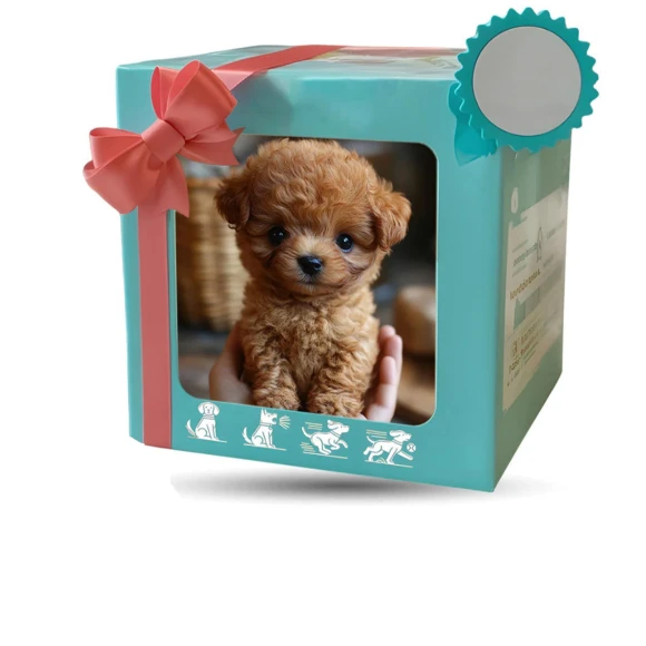 Robot Dog Toy — Interactive Figures & Robots, hayatospeed