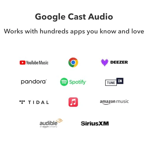 AirPlay 2 and Google Cast Audio Receiver — Receivers & Adapters, WiiM