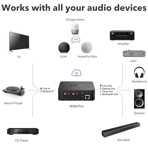AirPlay 2 and Google Cast Audio Receiver — Receivers & Adapters, WiiM