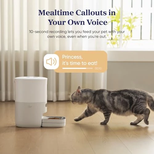 Automatic Pet Feeder with Smart Scale — Automatic Feeders, Pawsync