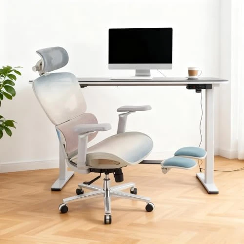 Ergonomic Home Office Desk Chair with Massage Lumbar Support, 4D Headrest & 5D Armrests, Reclining Big and Tall 400 lbs... — Desk Chairs, COTYFLY