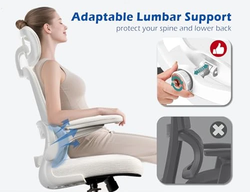 Ergonomic Office Chair with Adjustable Headrest and Lumbar Support — Desk Chairs, TRALT