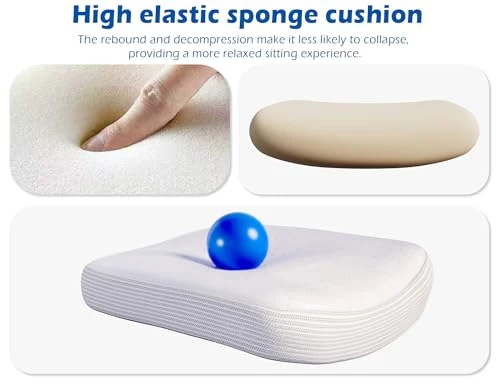 Ergonomic Office Chair with Adjustable Headrest and Lumbar Support — Desk Chairs, TRALT