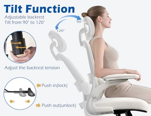 Ergonomic Office Chair with Adjustable Headrest and Lumbar Support — Desk Chairs, TRALT