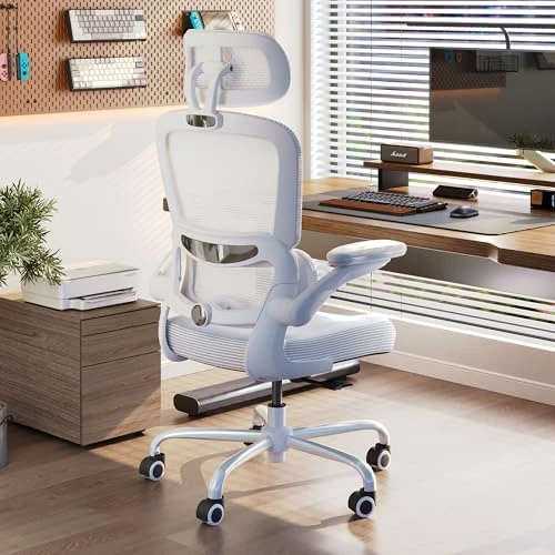 Ergonomic Office Chair with Adjustable Headrest and Lumbar Support — Desk Chairs, TRALT